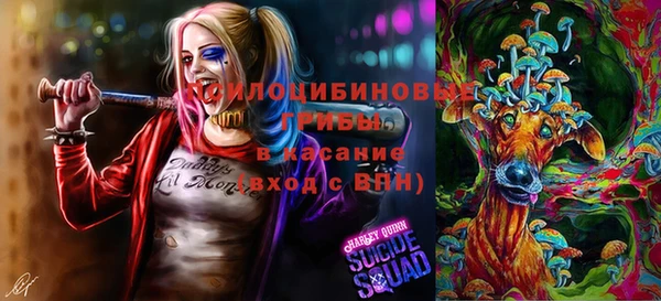 ГАЛЛЮЦИНОГЕННЫЕ ГРИБЫ Киренск