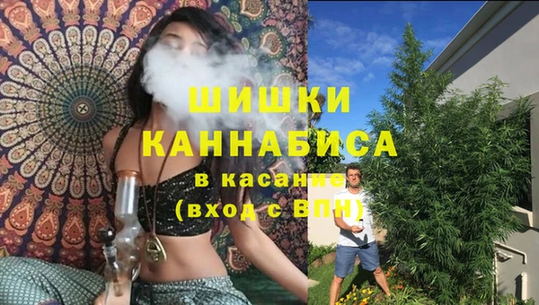 ГАЛЛЮЦИНОГЕННЫЕ ГРИБЫ Киренск