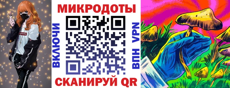 блэк спрут зеркало  Ладушкин  Галлюциногенные грибы GOLDEN TEACHER 