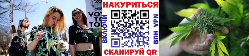 Канабис SATIVA & INDICA Ладушкин